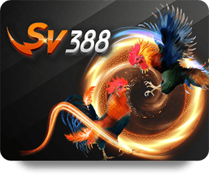 Tại sao 789Bet Thể Thao VIP thu hút người chơi hiện nay?